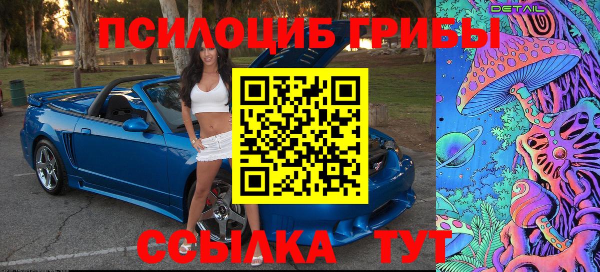 Новосибирск  Псилоцибиновые грибы прущие грибы  Псилоцибиновые грибы Psilocybe  Вход с VPN 
